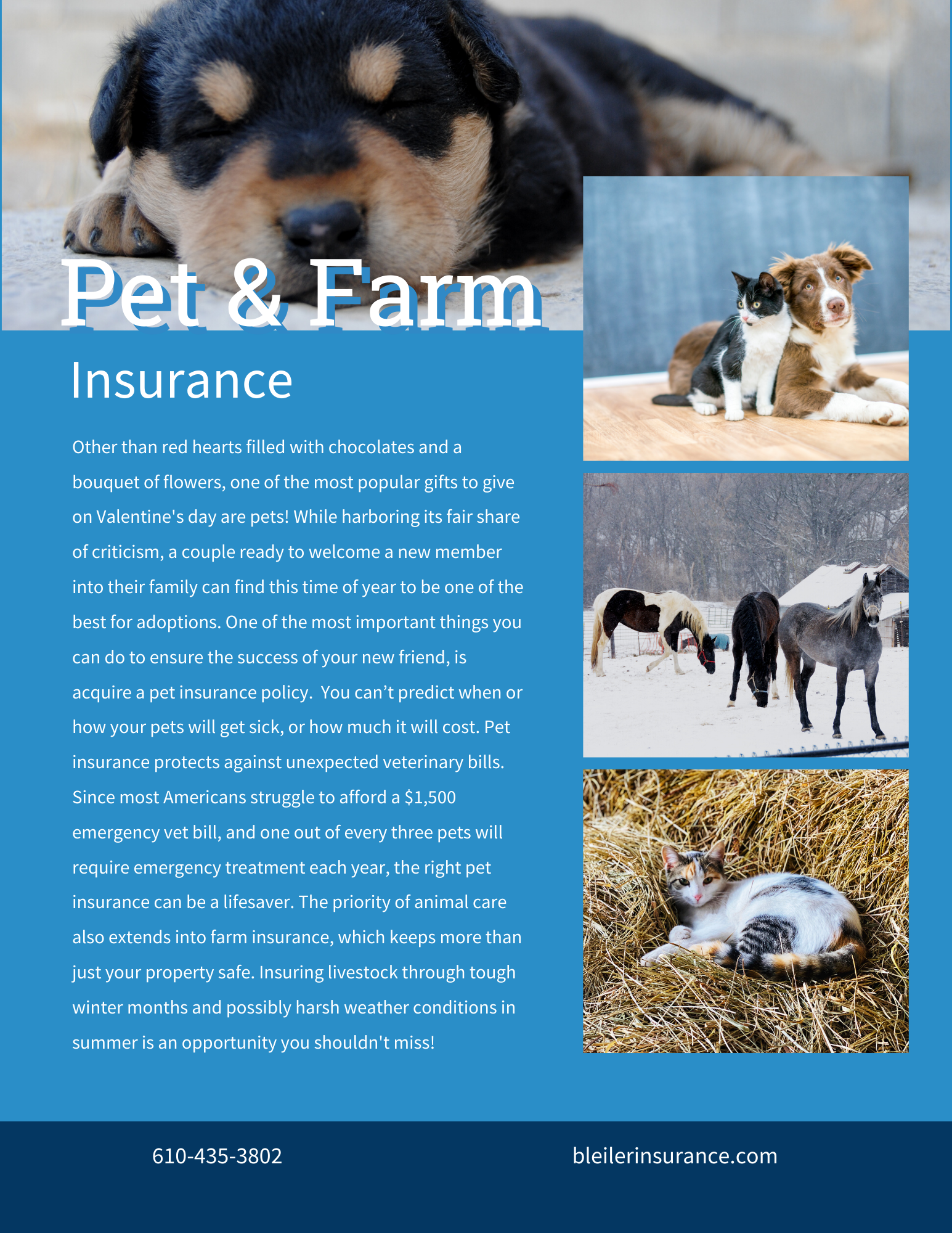 Pet & Farm Insurance